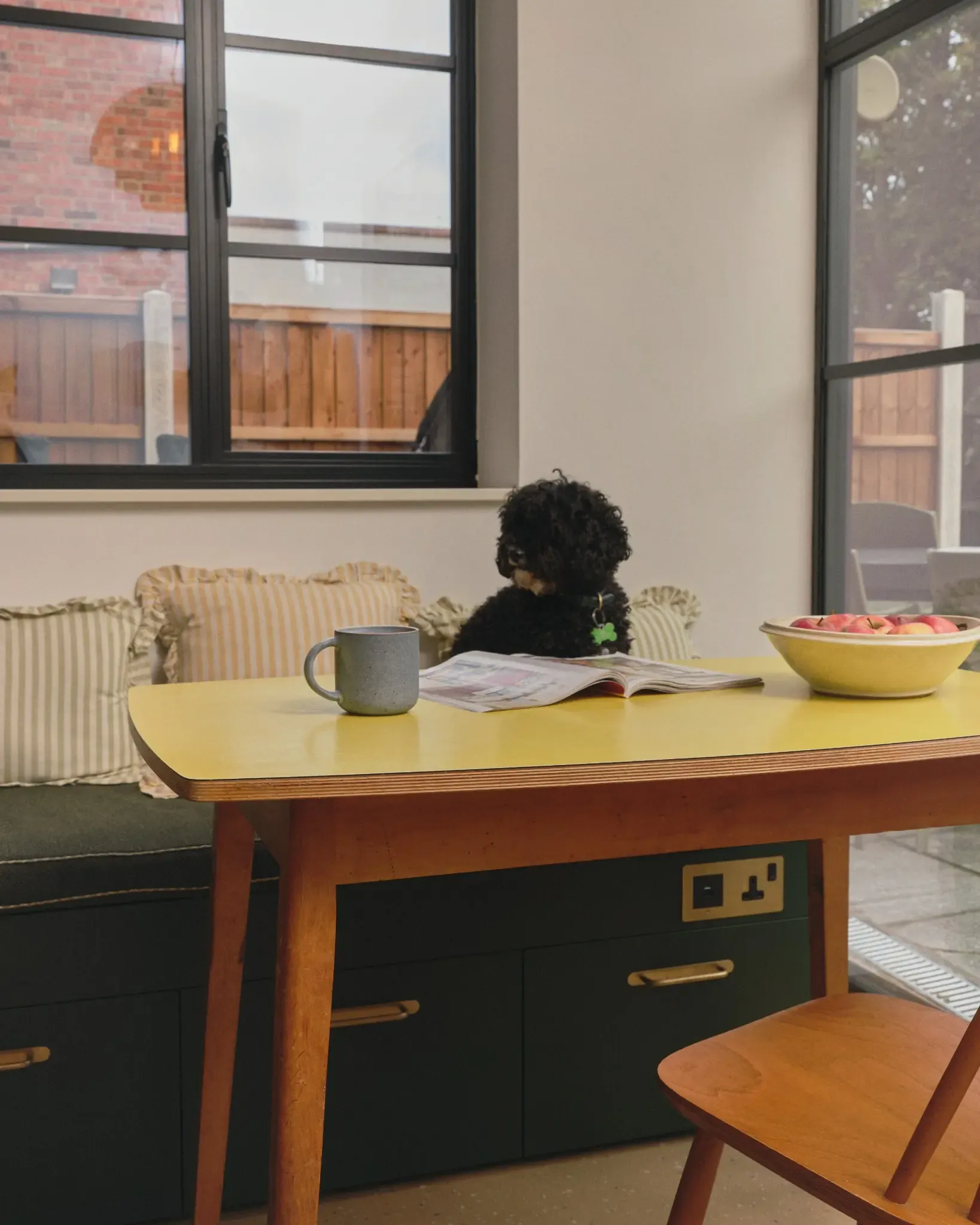 Mid-century_kitchen_with_dog